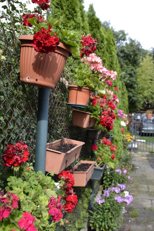 Bed and Breakfast Warszawa Stare Bielany Exterior foto